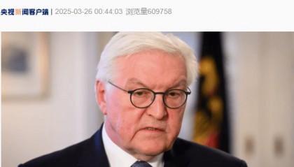 德国总统解散现任政府，发生了什么？