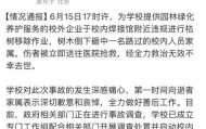 女教授在清华被树砸中后离世 学生：去看望家人时遭遇不幸 对学生很好很受爱戴