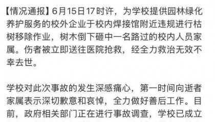 女教授在清华被树砸中后离世 学生：去看望家人时遭遇不幸 对学生很好很受爱戴