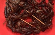 价格腰斩，还要跌！合肥已大量上市