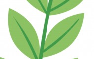 国家林草局：我国珍稀濒危野生动植物种群数量稳步增长