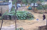 快评丨不扶倒于积水老人被处理，民警的“民”字究竟该如何写？
