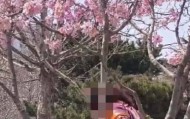 事发劳动公园！这4名女子，你们这么做不脸红吗？
