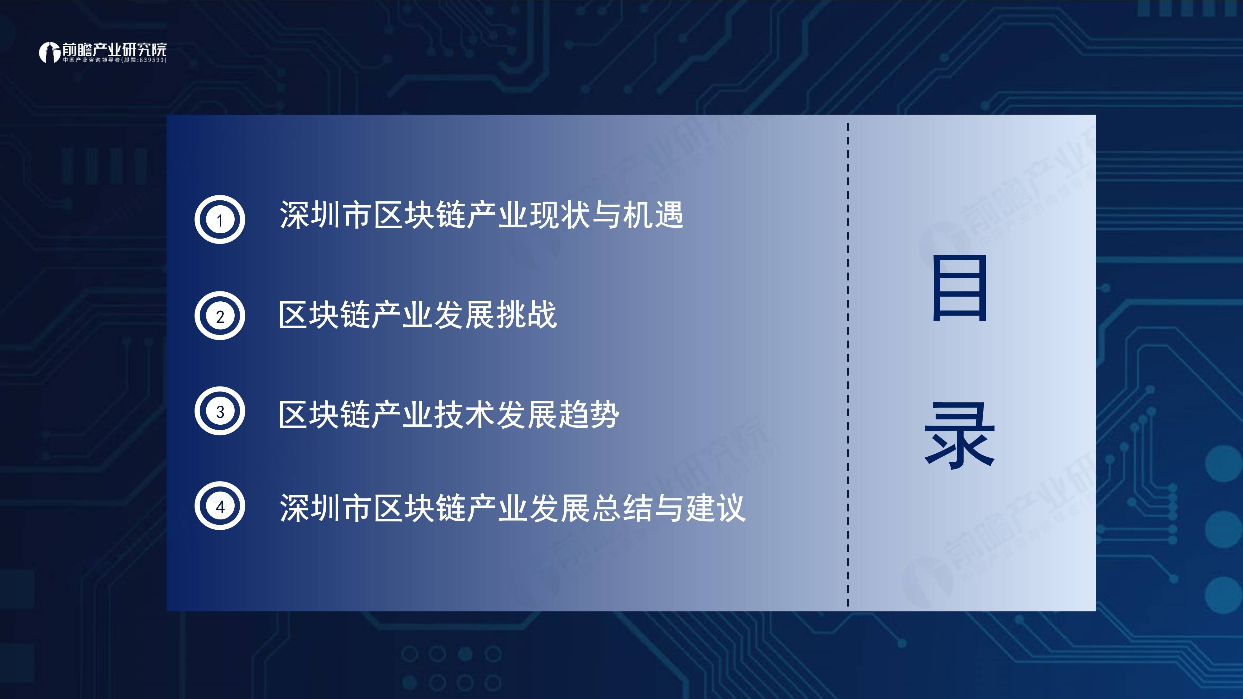 2024深圳20+8之区块链产业-前景机遇与技术趋势探析报告（免费下载）