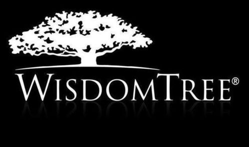 WisdomTree实现战略转型，区块链与AI创新吸引全球合作伙伴