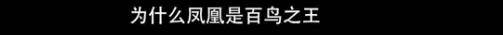 他们那么幸福恩爱，怎么突然离婚了……