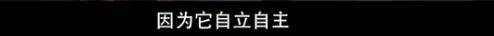 他们那么幸福恩爱，怎么突然离婚了……