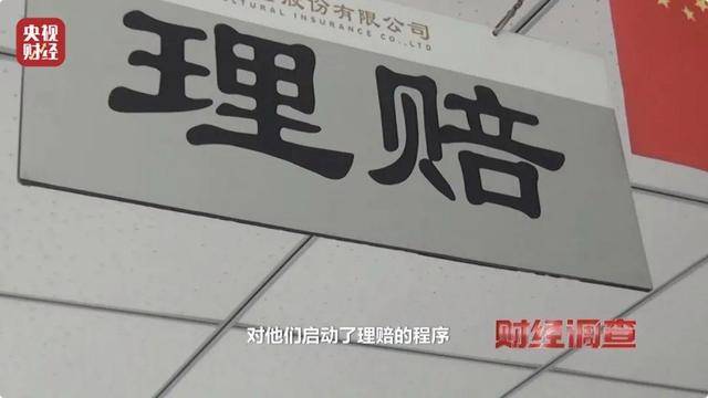 多地频现野猪伤人致害！为什么不能放开猎捕？记者调查