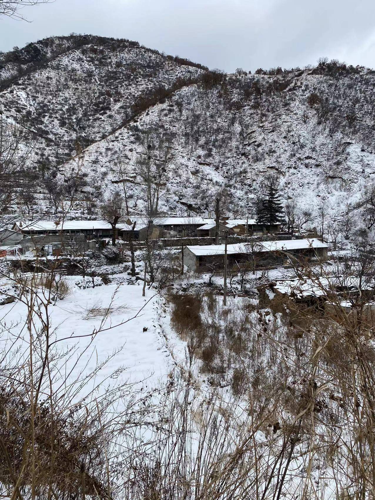 北京海拔最高山村：积雪已没过脚面，山林银装素裹